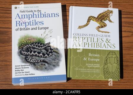 Livres sur la faune, guides de terrain, identification des amphibiens et des reptiles Banque D'Images