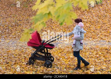 Mère et bébé marchant dans la forêt d'automne avec le pram. Maman et bébé mignon dans le parc d'automne. Banque D'Images