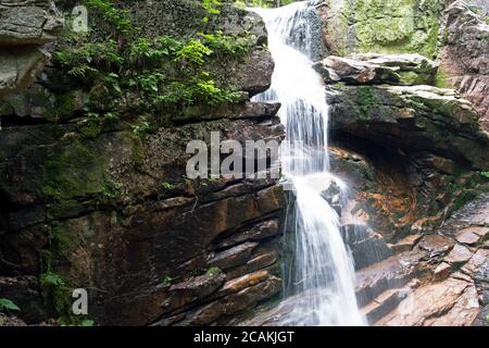 Cascade sur le sentier Flume Trail, Lincoln, New Hampshire Banque D'Images