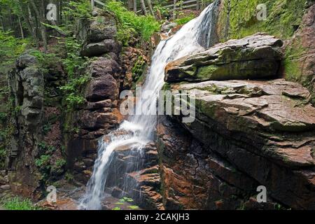 Cascade sur le sentier Flume Trail, Lincoln, New Hampshire Banque D'Images