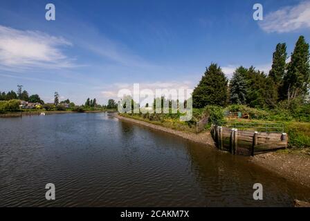 Nicomekl River, South Surrey, Colombie-Britannique, Canada Banque D'Images