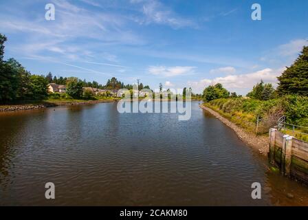 Nicomekl River, South Surrey, Colombie-Britannique, Canada Banque D'Images