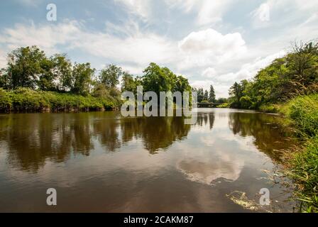 Nicomekl River, South Surrey, Colombie-Britannique, Canada Banque D'Images