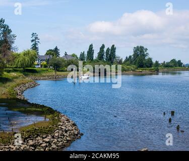 Nicomekl River, South Surrey, Colombie-Britannique, Canada Banque D'Images