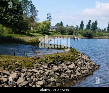 Nicomekl River, South Surrey, Colombie-Britannique, Canada Banque D'Images