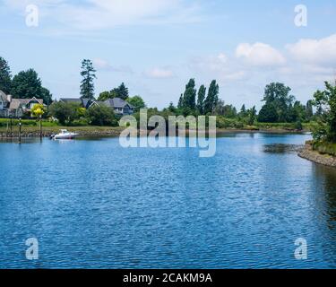 Nicomekl River, South Surrey, Colombie-Britannique, Canada Banque D'Images