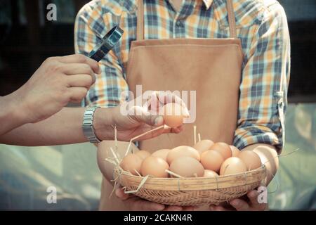 Les jeunes agriculteurs intelligents portent une chemise à manches longues plaid tablier brun tiennent des œufs de poulet frais dans le panier, et un homme avec une loupe examine le TH Banque D'Images