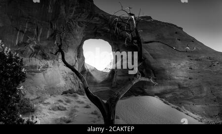 Photo noir et blanc de Dead Tree devant l'Ear of the Wind, un trou dans une formation rocheuse dans le parc tribal de Monument Valley Navajo, Utah et Arizona Banque D'Images