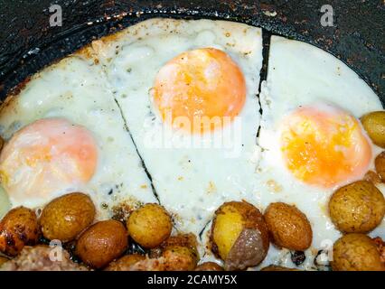 Œufs brouillés et pommes de terre frites dans une casserole. Banque D'Images