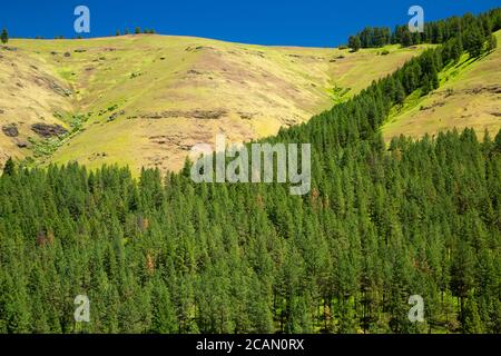 Minam River Canyon, Union County, Hells Canyon National Scenic Byway, Oregon Banque D'Images