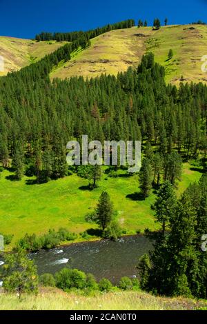 Minam River Canyon, Union County, Hells Canyon National Scenic Byway, Oregon Banque D'Images