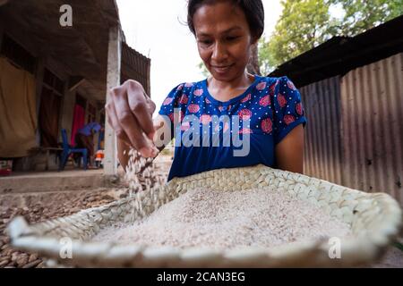 Haikesa / Indonésie - 10 août 2018 : femme qui filtre du riz avec tamis dans un village rural pauvre Banque D'Images