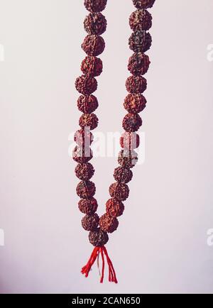 Rudraksha japa Mala ou perles de prière faites à partir des graines de l'arbre de rudraksha sur fond blanc. Banque D'Images