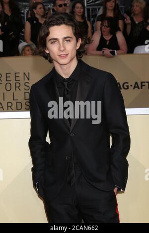 LOS ANGELES - 21 JANVIER : Timothée Chalamet au 24e Screen Actors Guild Awards - salle de presse au Shrine Auditorium le 21 janvier 2018 à Los Angeles, CA Banque D'Images