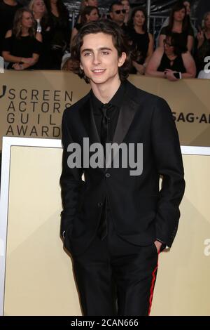 LOS ANGELES - 21 JANVIER : Timothée Chalamet au 24e Screen Actors Guild Awards - salle de presse au Shrine Auditorium le 21 janvier 2018 à Los Angeles, CA Banque D'Images