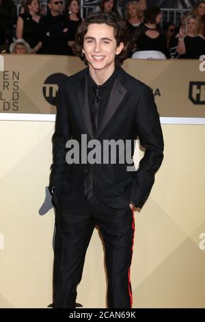 LOS ANGELES - 21 JANVIER : Timothée Chalamet au 24e Screen Actors Guild Awards - salle de presse au Shrine Auditorium le 21 janvier 2018 à Los Angeles, CA Banque D'Images