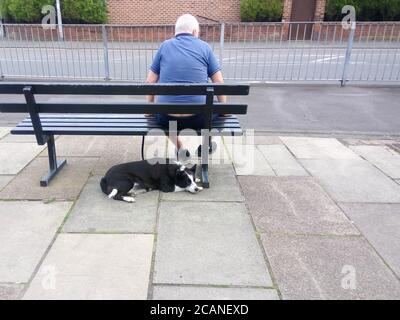 Un vieil homme solitaire s'est assis sur un banc avec un chien sous ses pieds.Santé mentale et solitude chez les personnes âgées Banque D'Images