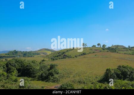 Vagamon est une station de montagne située à Kottayam- Idukki, à la frontière du Kerala. Banque D'Images