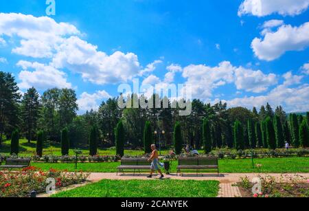 Sportif senior dans le sport wolk dans un parc et d'écouter de la musique sur des écouteurs. Parc, roses, herbe verte. Kislovodsk, Russie, 07 août 2020 Banque D'Images