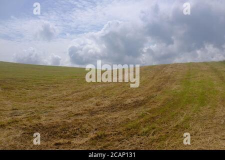 Marcher sur le Kerry Way en 2019 dans le compte Kerry In Le sud de l'Irlande longe la péninsule d'Iveragh Glenbeigh À Glencaare Banque D'Images