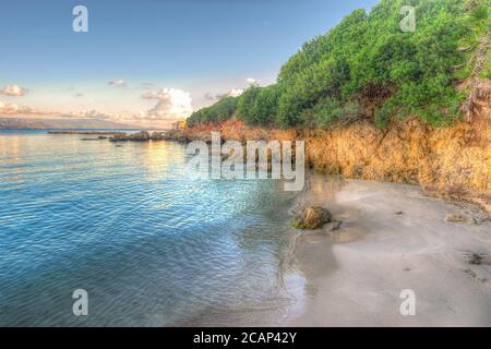 Rochers et plantes à Lazzareto Beach, Sardaigne. Traitement intensif pour l'effet de mappage des tons hdr. Banque D'Images