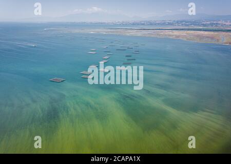 Pisciculture à Delta Aksiou près de Thessalonique, Grèce Banque D'Images