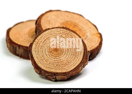 Disques en bois comme matériau de décoration Banque D'Images