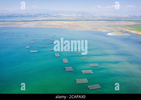Pisciculture à Delta Aksiou près de Thessalonique, Grèce Banque D'Images