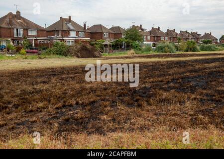 Eton Wick, Windsor, Berkshire, Royaume-Uni. 8 août 2020. Les propriétaires qui vivaient sur Queen's Road à Eton Wick ont eu la chance de s'échapper hier après-midi quand un énorme feu de terrain a déchiré des champs agricoles secs derrière leurs maisons. Un chêne était partiellement endommagé. Des pompiers de Slough, Maidenhead et Langley ont assisté au Royal Berkshire Fire and Rescue Service. Crédit : Maureen McLean/Alay Live News Banque D'Images