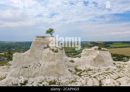 Arbre solitaire à la carrière de calcaire en Moldavie Banque D'Images