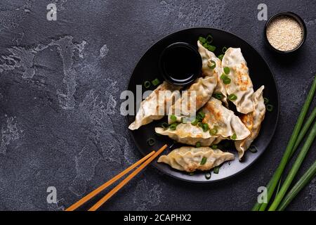 Beignets de Gyoza sur une assiette sur fond de béton gris, vue de dessus Banque D'Images