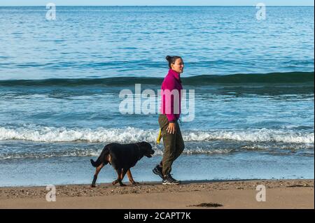 Red Strand, West Cork, Irlande. 8 août 2020. Une femme marche son chien sur la plage de Red Strand près de Clonakilty sur une journée de prévision pour le soleil et des sommets de 19 à 24 degrés. Crédit : AG News/Alay Live News Banque D'Images