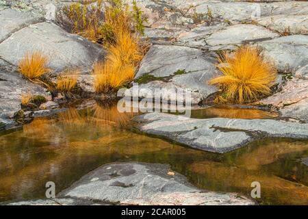 Affleurements en granite le long du lac supérieur à Katherine Cove, parc provincial du lac supérieur, Ontario, Canada Banque D'Images