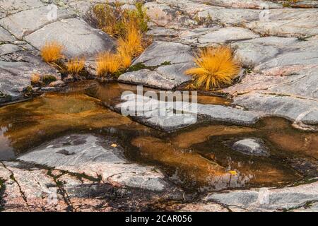 Affleurements en granite le long du lac supérieur à Katherine Cove, parc provincial du lac supérieur, Ontario, Canada Banque D'Images