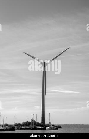 Moulin à vent avec Sun Flare à Marken pays-Bas 6-8-2020 in Noir et blanc Banque D'Images