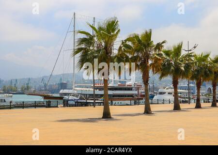 Promenade en bord de mer avec palmiers à Batumi, Géorgie Banque D'Images