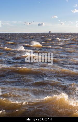 La mer en plein soleil par temps venteux. Ciel bleu, mouette et navire à passagers en arrière-plan, vertical. Concept vent, météo, vagues de la mer orageux Banque D'Images