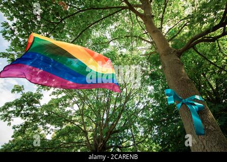 Ruban bleu attaché à un arbre pour honorer le personnel de santé tué par COVID-19, à Basildon, Essex, Royaume-Uni. Drapeau arc-en-ciel agitant sous un couvert d'arbre dans le support Banque D'Images