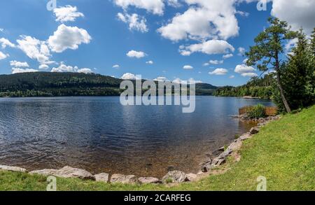 Vue sur le lac Titisee, Forêt Noire, Allemagne, depuis un pré sur la rive Banque D'Images