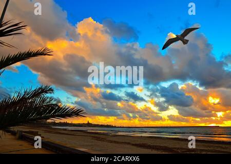 Ciel coloré au-dessus d'Alghero au crépuscule, Italie Banque D'Images