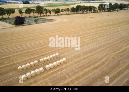 Balles de foin roulé dans le champ par l'agriculteur à la ferme pour la récolte Banque D'Images