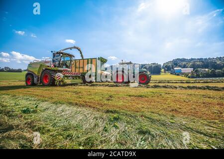 BAVIÈRE / ALLEMAGNE - AOÛT 07,2020 : une moissonneuse Claas et un Fendt 926 avec une remorque Krone ZX400GL travaillent dans un champ. Banque D'Images