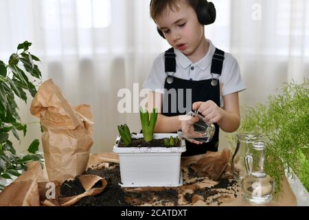 L'enfant dans le casque s'est engagé à planter les fleurs des jacinthes, verse l'eau d'une petite carafe. Banque D'Images