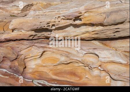 Détail d'un mur naturel aux tons de sable des Rocheuses à la plage de Wattamolla un après-midi d'hiver ensoleillé Banque D'Images