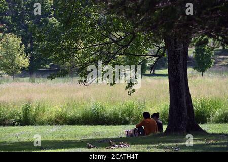 New York, États-Unis. 08 août 2020. Un couple s'assoit à l'ombre d'un arbre lors d'une visite du Storm King Art Centre à Mountainville, New York, le 8 août 2020. Situé dans la vallée de l'Hudson, le Storm King Art Center s'étend sur 500 hectares et abrite l'une des plus grandes collections de sculptures contemporaines en plein air des États-Unis. (Anthony Behar/Sipa USA) crédit: SIPA USA/Alay Live News Banque D'Images