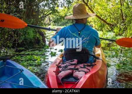 Kayakistes au départ du North Guana Outpost pour une excursion en kayak dans les eaux côtières des marais de la rivière Guana à Ponte Vedra Beach, Floride. Banque D'Images