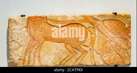 Exposition "le royaume des animaux dans l'Egypte ancienne", organisée en 2015 par le Musée du Louvre à Lens. Scène de Chariotry, période amarante, grès. Banque D'Images