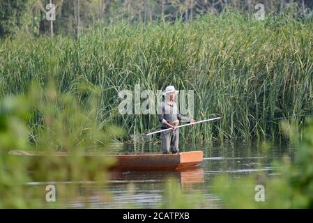 Homme de bateau chinois à East Lake, Wuhan, Chine Banque D'Images