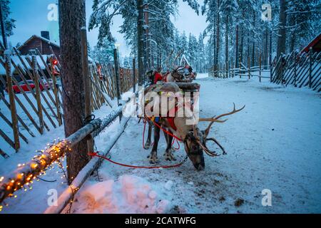 Le traîneau à rennes dans le village de Santa, en Laponie, en Finlande. Banque D'Images