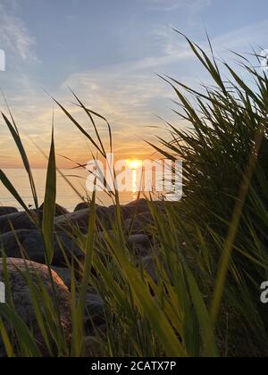 Vue imprenable sur la mer sous le ciel du coucher du soleil de grandes herbes de plage Banque D'Images